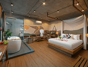 DOUBLE VIP ROOM