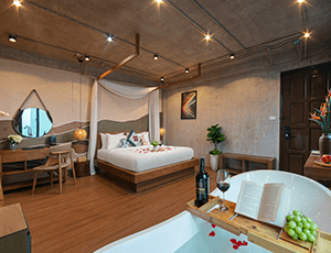 DOUBLE VIP ROOM